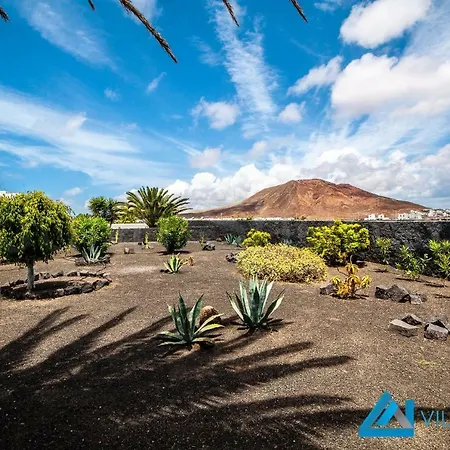 Valentina - Lh156 By Now Ltd